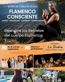 Imagen de RETIRO DE FLAMENCO CONSCIENTE