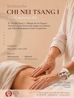 Imagen de SEMINARIO CHI NEI TSANG I