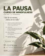 Imagen de CURSO ONLINE DE MINDFULNESS "LA PAUSA"
