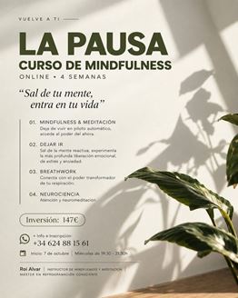 Imagen de CURSO ONLINE DE MINDFULNESS "LA PAUSA"