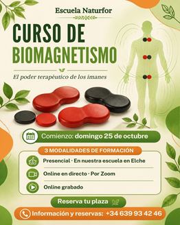 Imagen de CURSO DE BIOMAGNETISMO